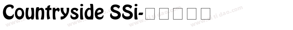 Countryside SSi字体转换
